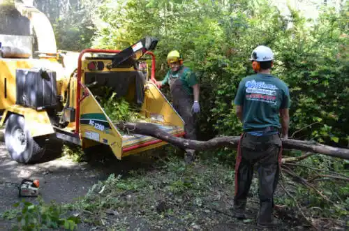 tree services Tara Hills